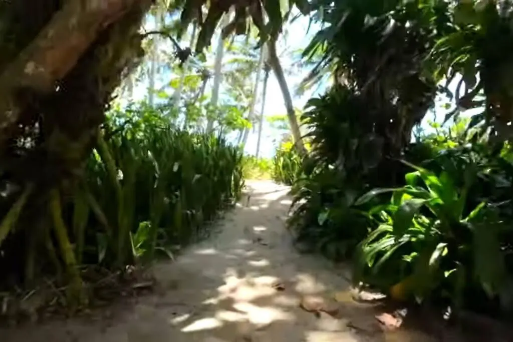 Villa Ramos - Private Beachfront With A View Cabarete