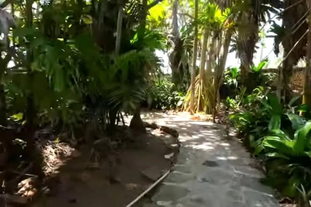Villa Ramos - Private Beachfront With A View Cabarete